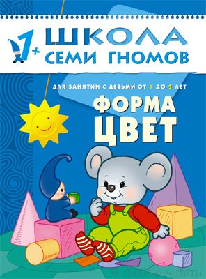 ШСГ. Второй год обучения. Форма, цвет