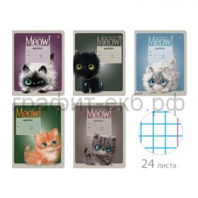 Тетрадь 24л.кл.Альт KITTY LIFE 7-24-1117