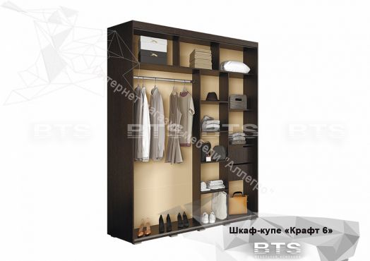 Шкаф купе "Крафт 6" Ясень белый
