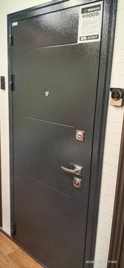 Дверь Входная АСД Техно XN-99 Дуб сонома