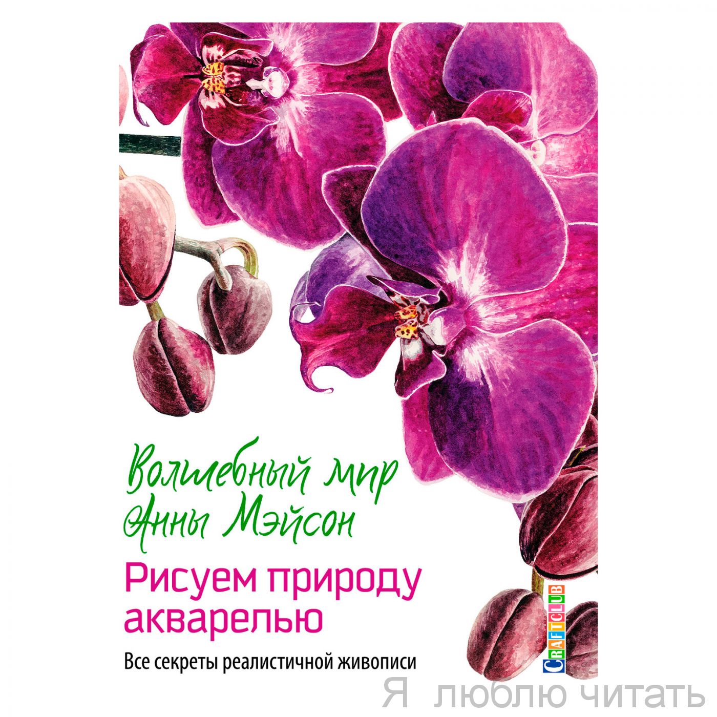 Волшебный мир Анны Мэйсон. Рисуем природу акварелью