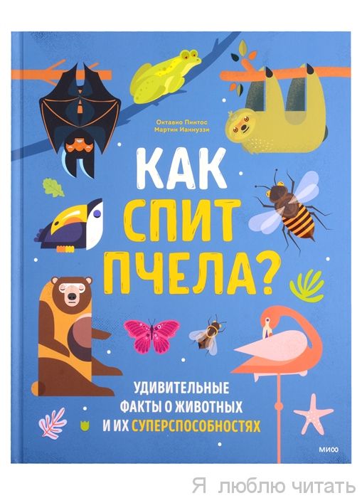 Как спит пчела?