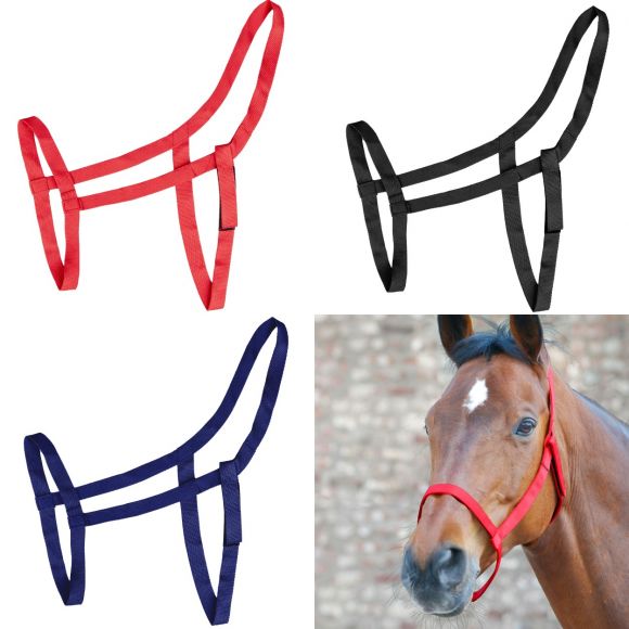 Недоуздок без пряжек. Waldhausen