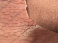 Кожа Юфть шорно-седельная вишня, №20, арт. K-0050