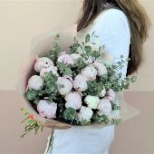 - в о з д у ш н ы е   п и о н ы -