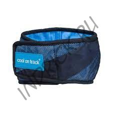 Охлаждающая бандана Cool on Track для собак