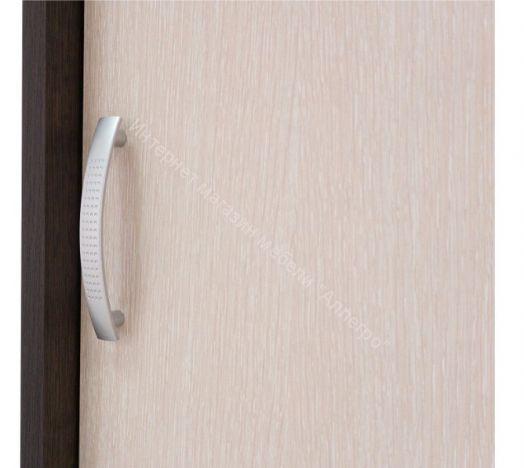 Шкаф купе "Бассо" 1,3