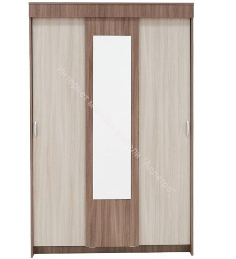 Шкаф купе "Бассо" 1,3