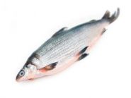 Омуль тушка Дальний Восток