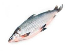 Омуль тушка тушка 800 гр - 1,5 кг Дальний Восток