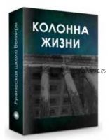 Курс «Колонна жизни» Часть 1. Создание энергетической конфигурации влияния (Велимира)