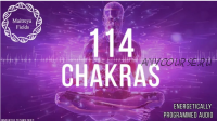 Очищение 114 чакр (Maitreya Fields)