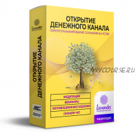 Открытие денежного канала. Пакет Максимальный [Ливанда]