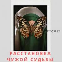 Расстановка чужой судьбы (Евгения Кузнецова)