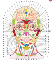 Диагностика по проекционным зонам на теле человека.(Огулов Александр)