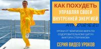 Оздоровительный Цигун. Как похудеть управляя внутренней энергией (Виктор Стерликов)