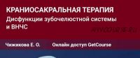 Семинар №12 Краниосакральная терапия. Дисфункции зубочелюстной системы и ВНЧС (Евгения Чижикова)