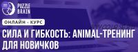 Сила и гибкость: Animal-тренинг для новичков (Илья Самарцев)