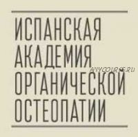 Школа Антонио Гонсалеса. Стопа. Часть 1 (Испанская Академия органической остеопатии)