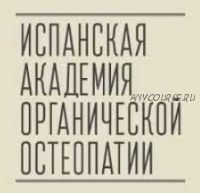 Школа Антонио Гонсалеса. Стопа. Часть 2 [Испанская Академия органической остеопатии]