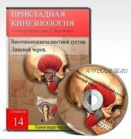 Височнонижнечелюстной сустав. Подвывих атланта. С0-С1 (лицевой череп) (Васильева Л.Ф)