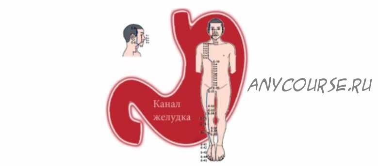 [Vedapuls] Канал Желудка, диагностика и методы воздействия (Сергей Косинцев)