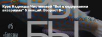 Всё о содержании аквариума. Возраст 8+ (Надежда Чистякова)