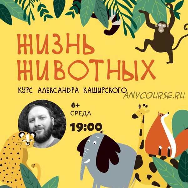 Жизнь животных. 10 лекций возраст 6+ (Александр Каширский)