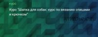 [puzzlebrain] Курс 'Шапка для собак: курс по вязанию спицами и крючком' (Анастасия Крайнюкова)