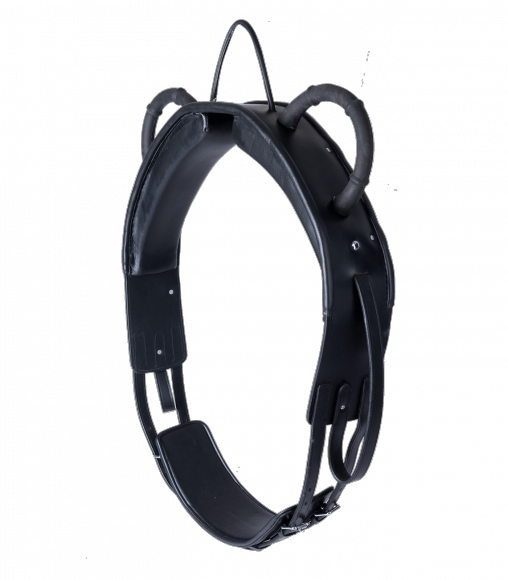 Гурта для вольтижировки и иппотерапии. Waldhausen