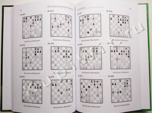 Шахматная тактика для юных чемпионов