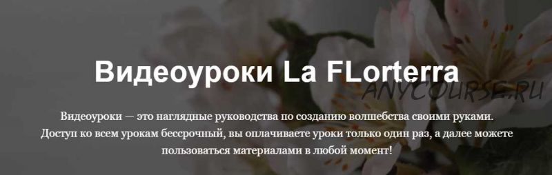 Улитка [La FLorterra]