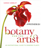 Botany for the Artist (Sarah Simblet)