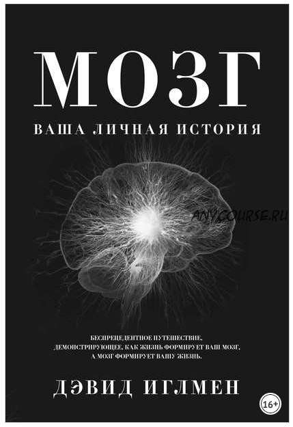Мозг: Ваша личная история (Дэвид Иглмен)