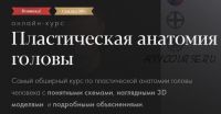 [Академика] Пластическая анатомия головы. Тариф - Самостоятельное обучение (Денис Чернов)