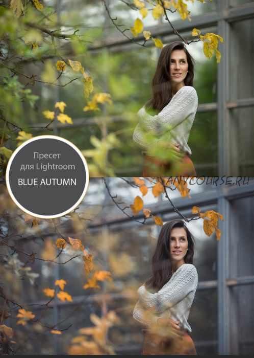 Пресет Blue Autumn (Анна Мельникова)