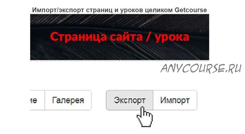 [GetHelpers] Скрипт Импорт/экспорт страниц и уроков целиком Getcourse