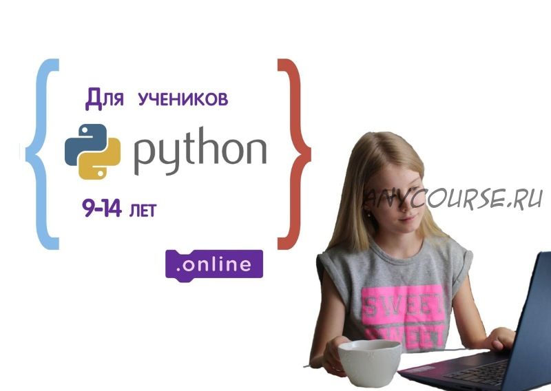 Курс по программированию на Python для детей 9-14 лет. Пакет 'Ученик Pro' (Денис Голиков)