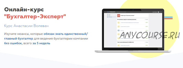 Бухгалтер-Эксперт. Пакет «Базовый» (Анастасия Волевач)