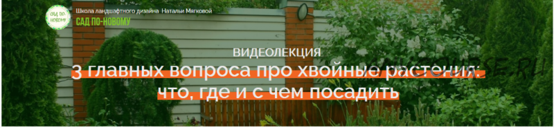 3 главных вопроса про хвойные растения: что, где и с чем посадить (Наталья Мягкова)