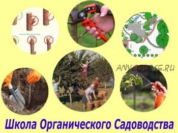 Базовый Курс Органического Садоводства (Виктор Гуржий)