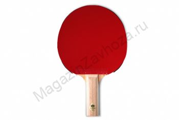 Теннисная ракетка Gambler ZEBRAWOOD CLASSIC VOLT M (прямая)