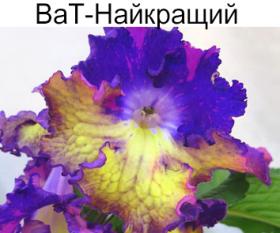 ВаТ-Найкращий (Валькова)