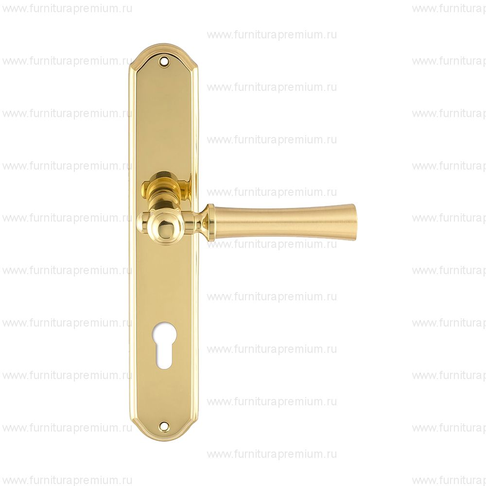 Ручка на планке Extreza Dezi 309 CYL PL01