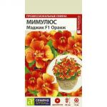 Мимулюс Мэджик Оранж (Семена Алтая)