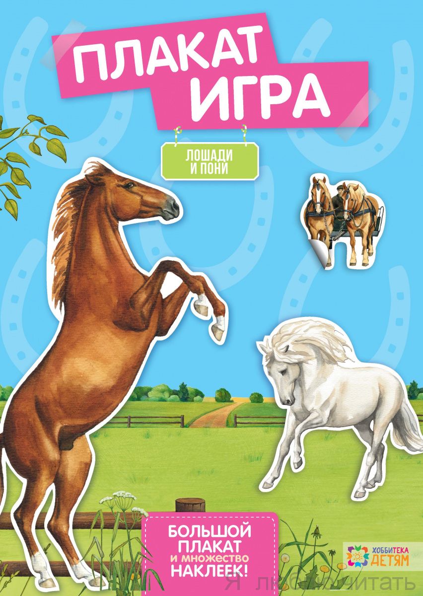 Лошади и пони