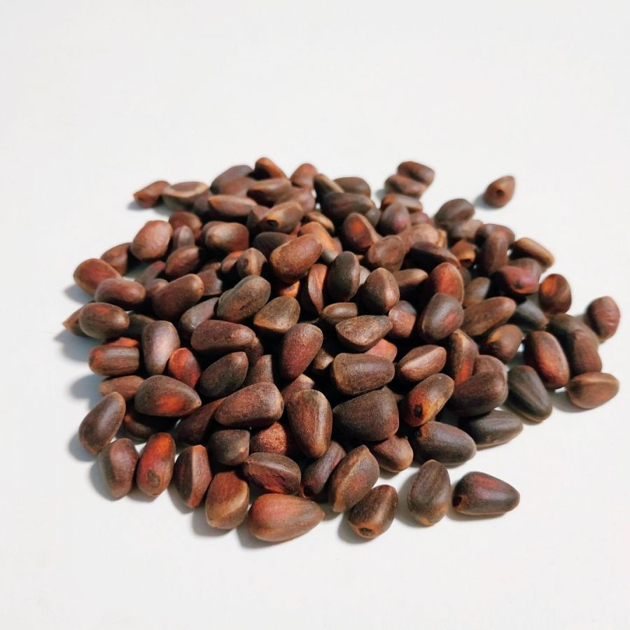 Кедровый орех в скорлупе