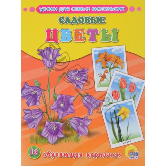 Садовые цветы