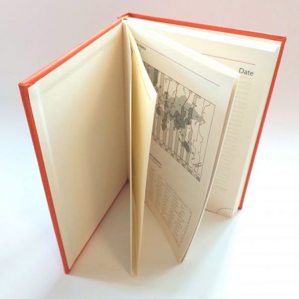 Ежедневник Brand оранжевый