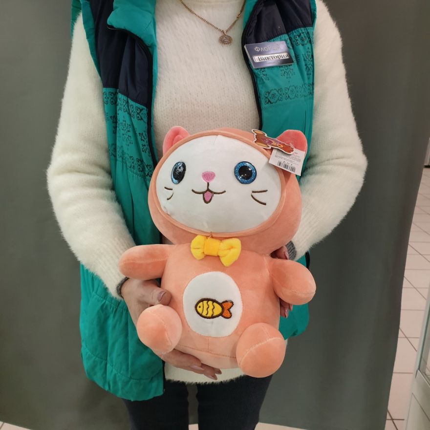 Кот в костюме
